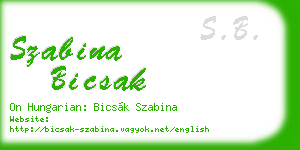 szabina bicsak business card